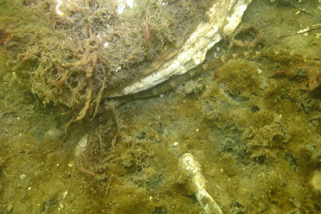 2008-08-09 10-42-42.JPG